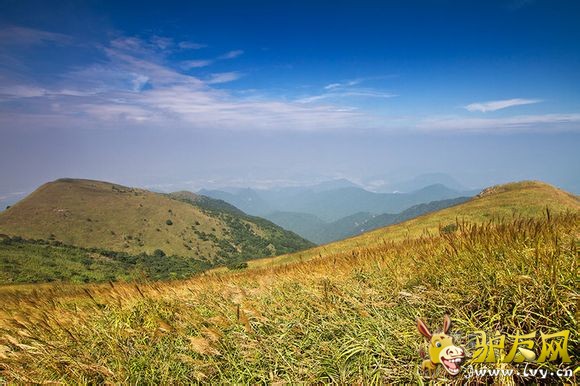 ��ݸ������ (1).jpg